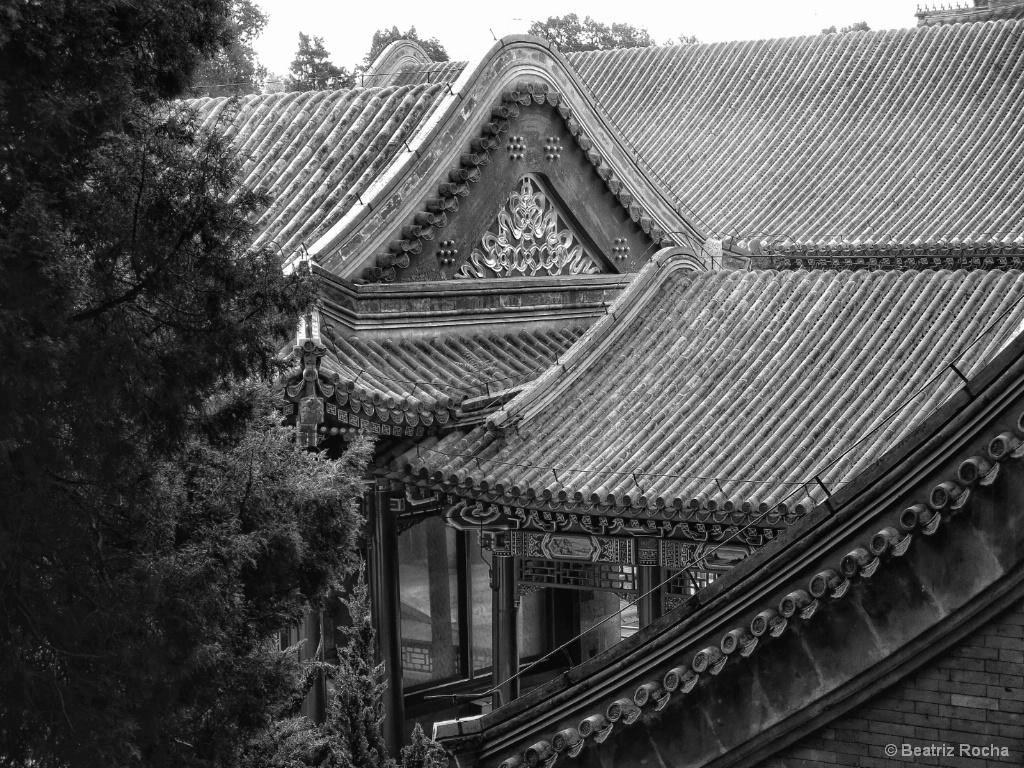 Chinese Roofs