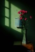 Flower and Shadow
