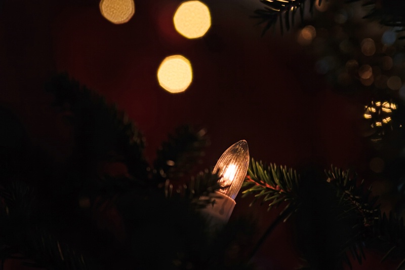 Light In The Christmas Tree