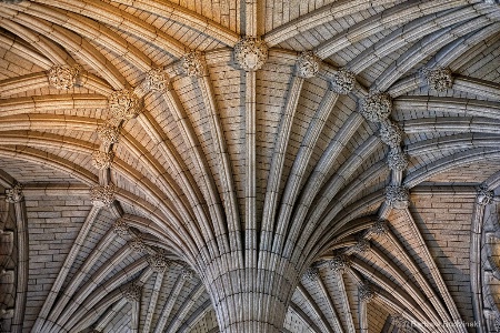 The Ceiling of Confederation Hall