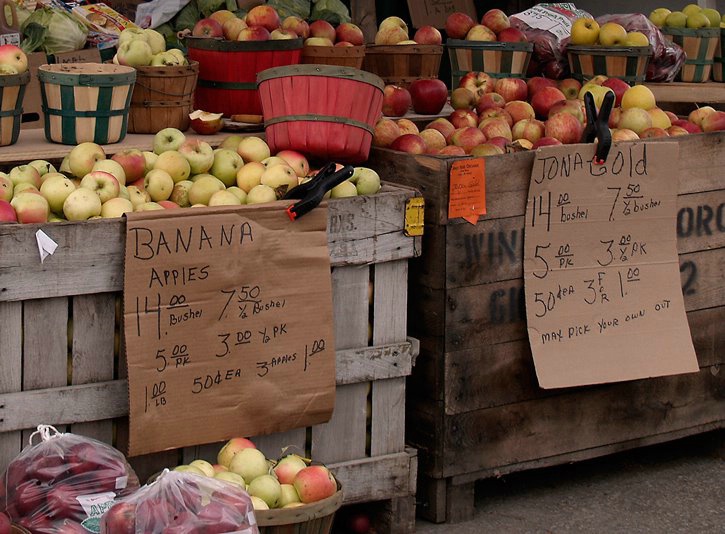 Apple Vendor