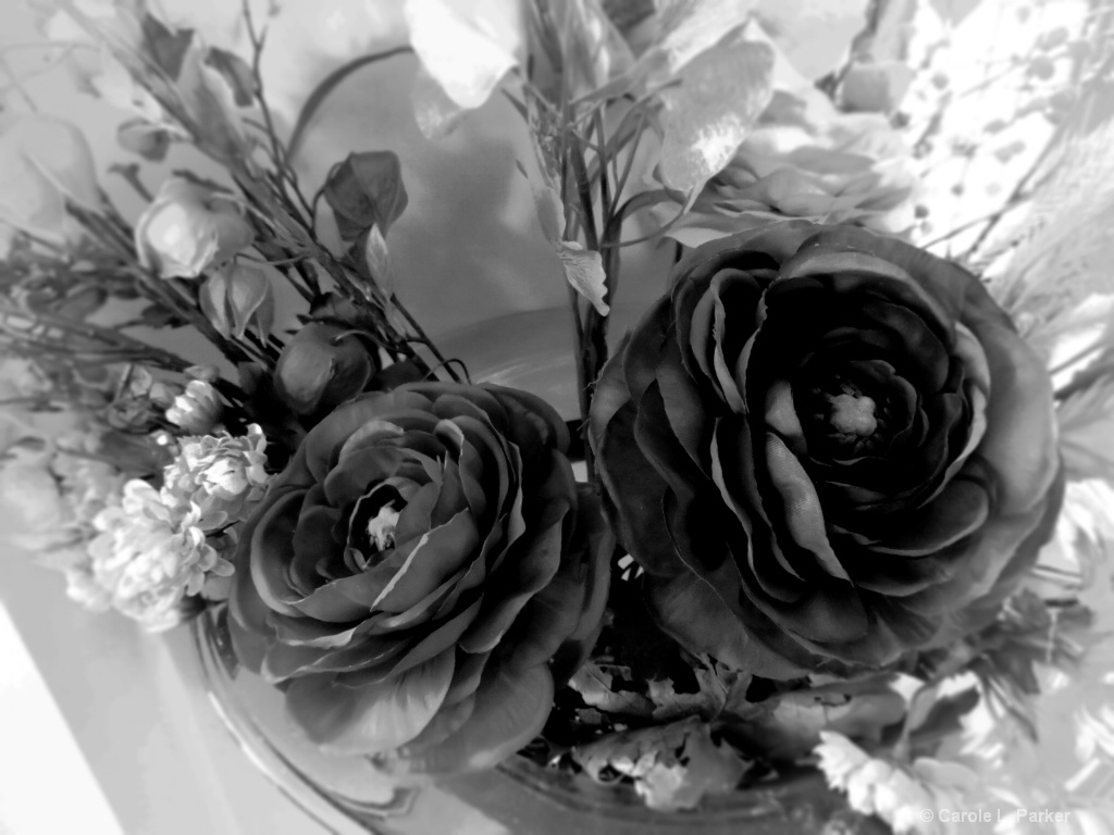 Beauty In Black & White Flowers
