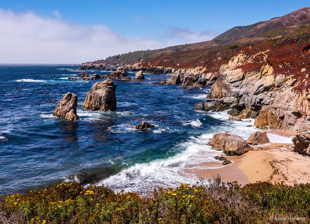 Big Sur Vista-Garrapata State Beach