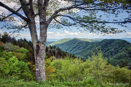 Smoky Mountains Viewpoint