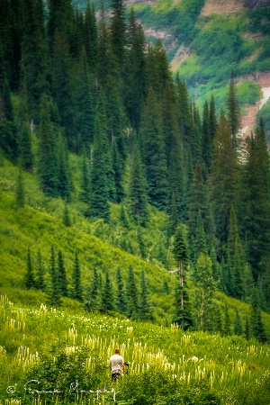 Dwarfed by Nature