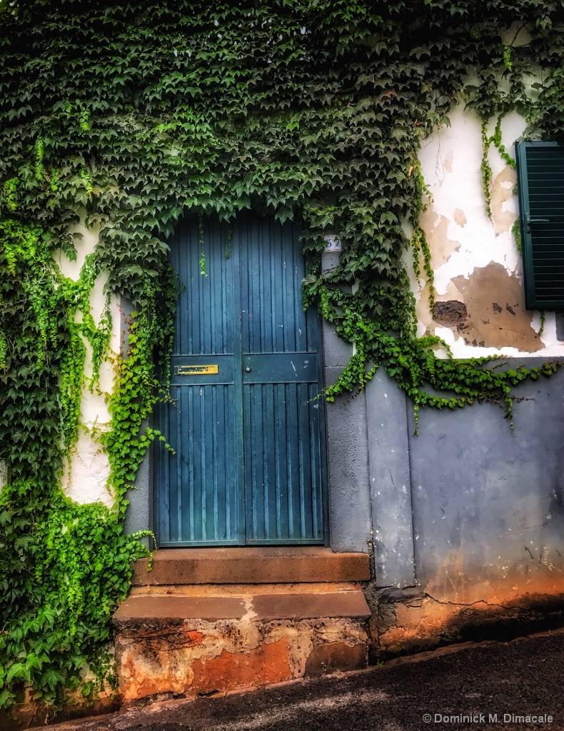 ~ ~ THE GREEN DOOR ~ ~ 