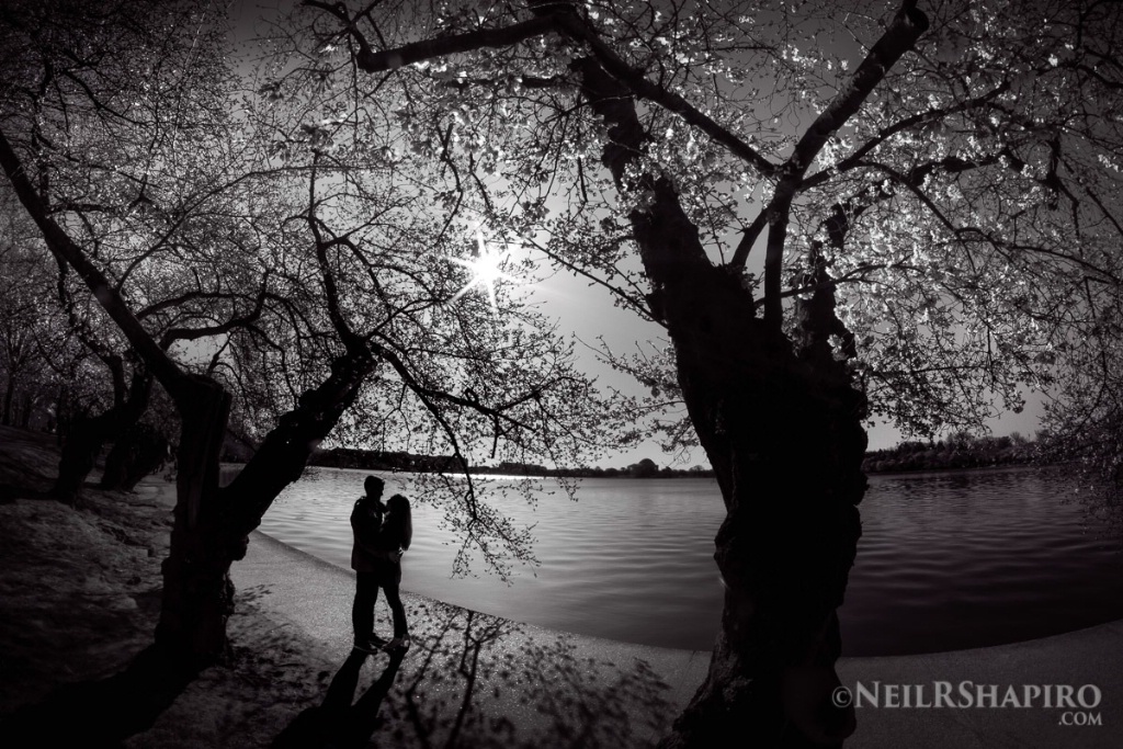 Season of Love in B&W
