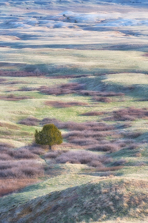  H0C3393c Badlands - ID: 15671472 © Raymond E. Reiffenberger