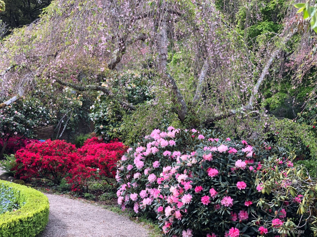 Secret Path - ID: 15672231 © Alice Kozar