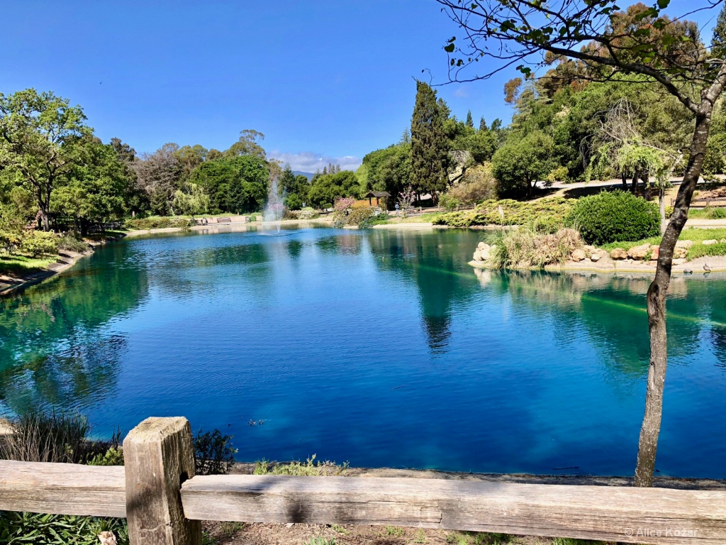 Spring Pond - ID: 15672260 © Alice Kozar