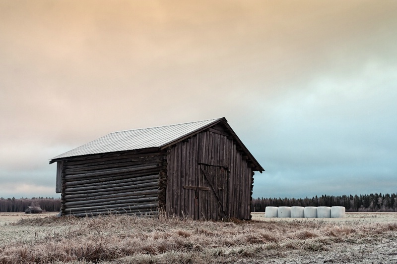 Old Barn On The Frosty Fields With White Bale