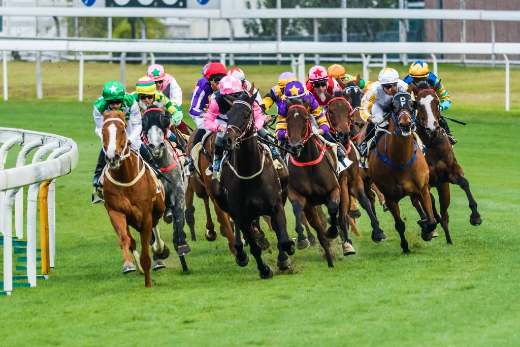 Sha Tin racing