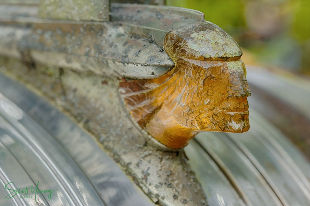 Pontiac Hood Ornament; Old Car City; White, GA