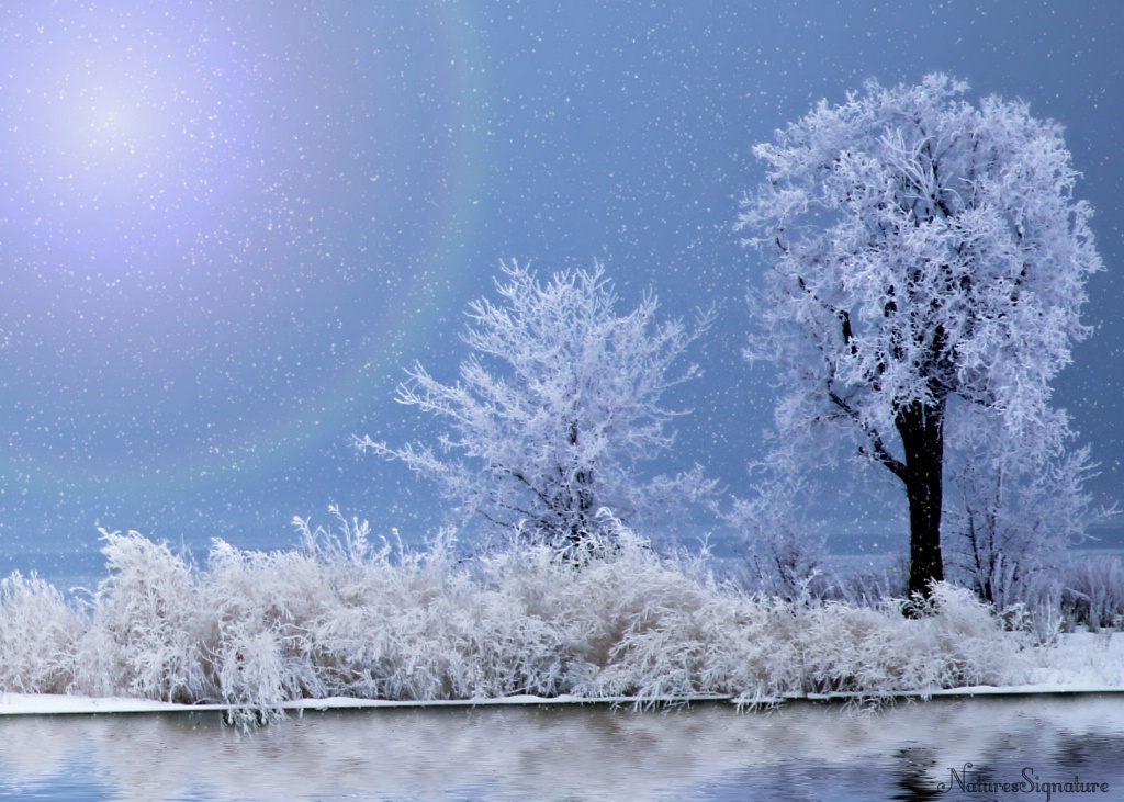 ~ Winter's Magic ~ - ID: 15672970 © Trudy L. Smuin
