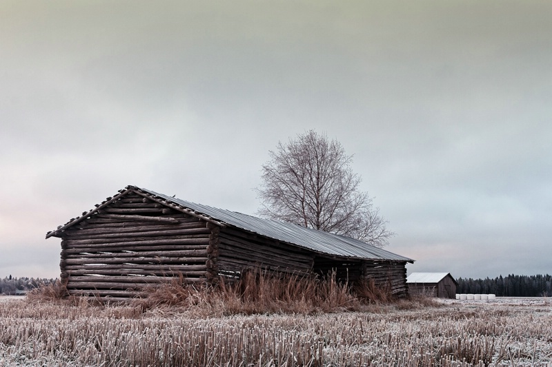Old Barn Houses On The Frosty Fields