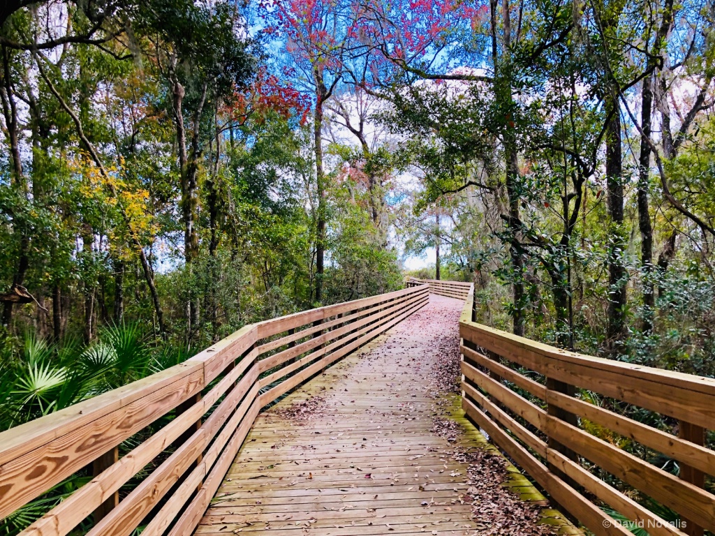 Storey Park Trail