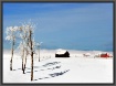 Winter Range