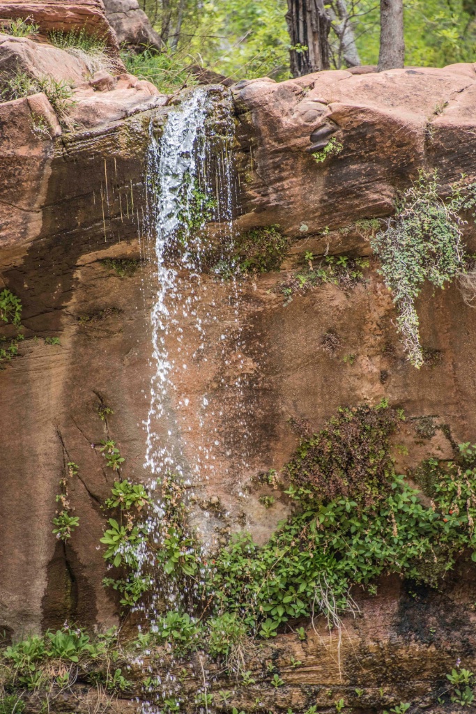 Waterfall at Zion