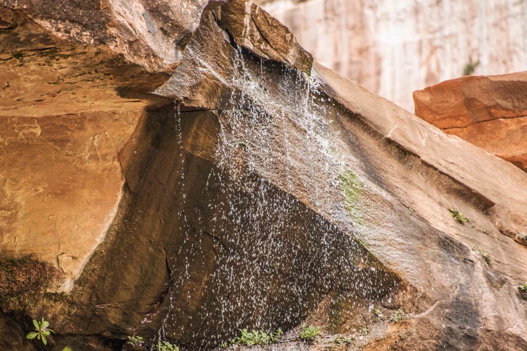 Rock and Water at Zion - ID: 15673254 © William S. Briggs