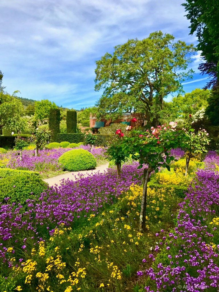 Garden Path - ID: 15673296 © Alice Kozar