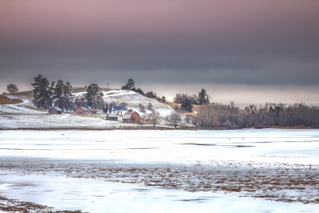 Frozen Flathead