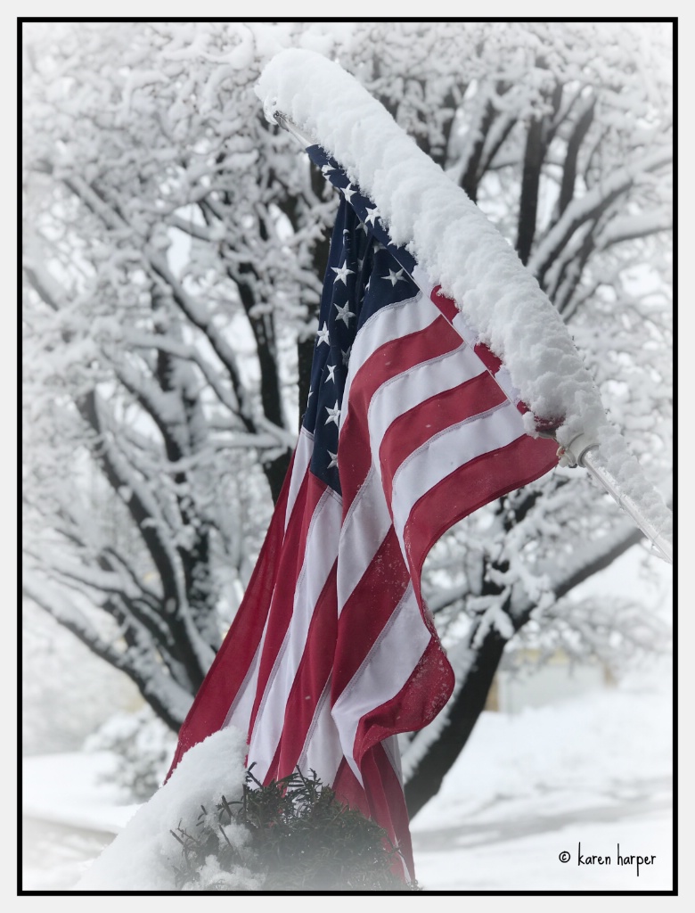 Snowy Flag