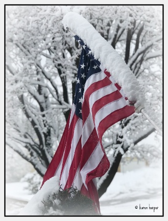Snowy Flag