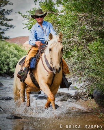 Wyoming Horsewoman