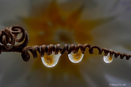 water drop 