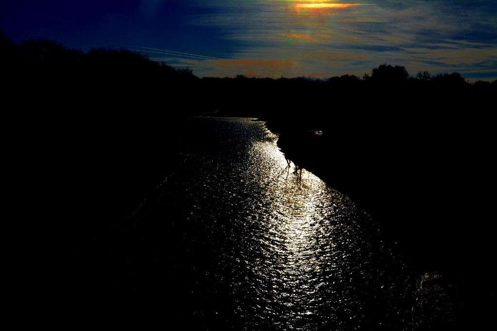 ------"Early Morning  ON The Nolan River"-