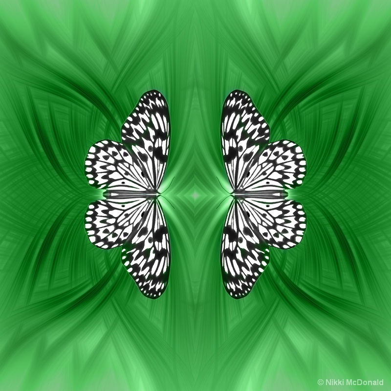 Rice Paper Butterfly Mirrored