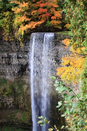 Falling Water