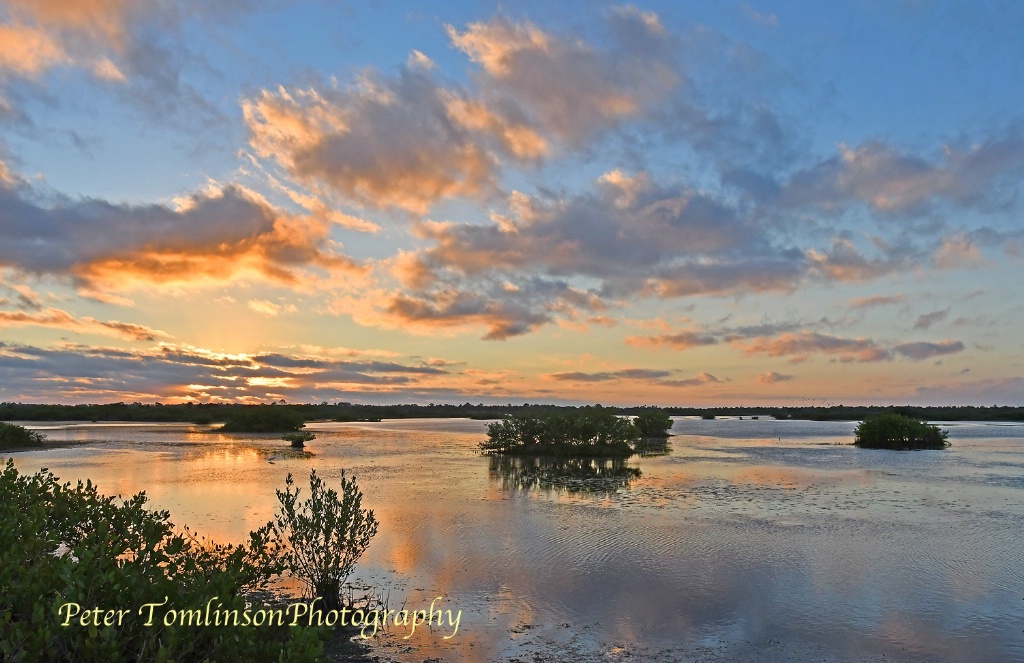 Sunrise, Merritt Island NWR, Florida