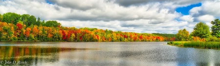 Trees along the Wisconsin River
