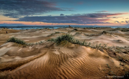 Anna Bay Dunes