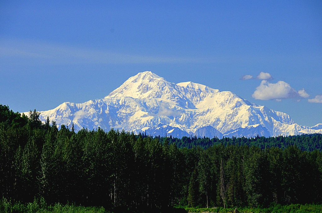 Mt. McKinley (Denali) - ID: 15675695 © William S. Briggs