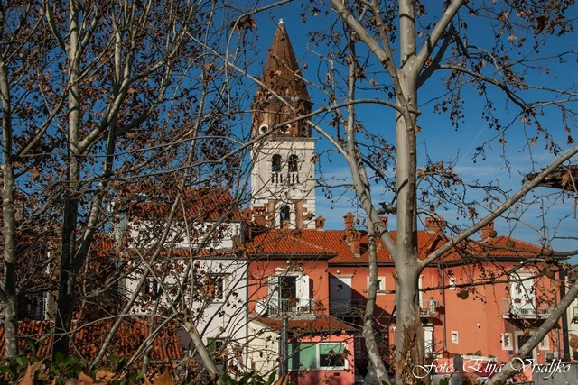 Zadar photo tour