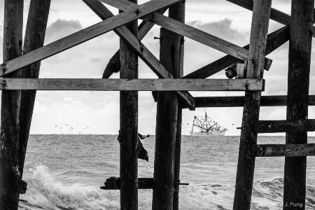 Amelia Island Shrimper