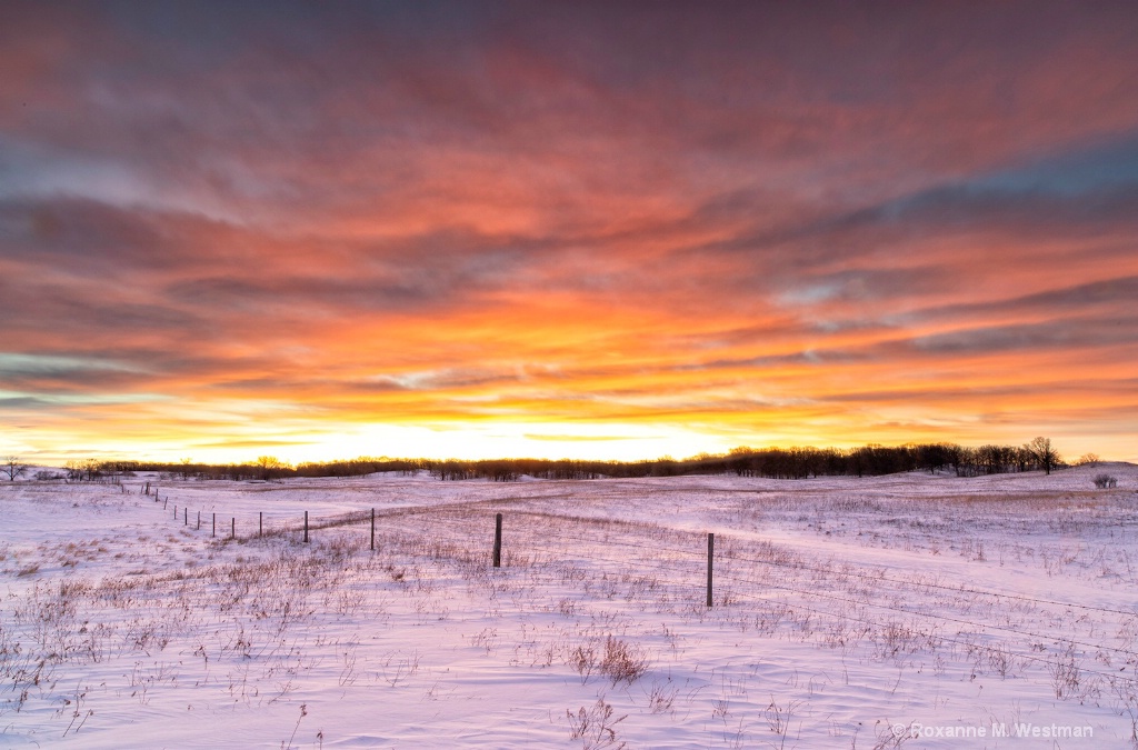 Winter sunrise in the grasslands - ID: 15676036 © Roxanne M. Westman