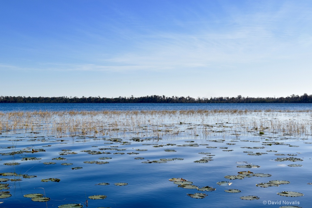 Sky and Water