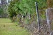 Nature Fenced In