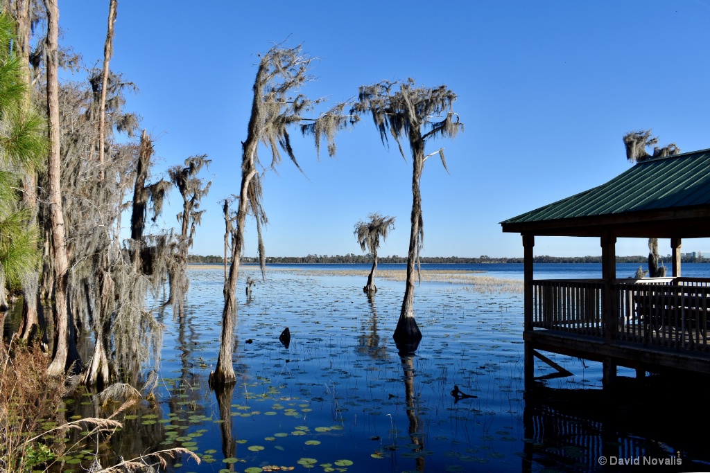 Green Dock on Lake Nona