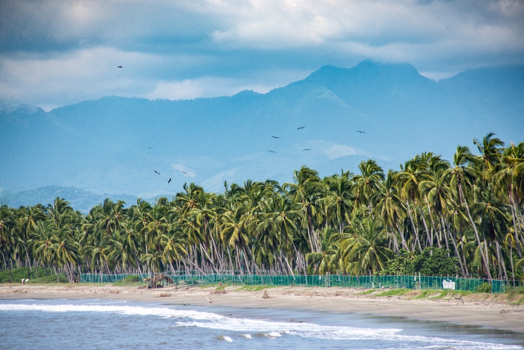 Mexican shoreline