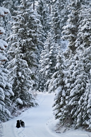 Waiting for the snowplow