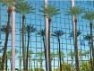 Vegas tree reflec...