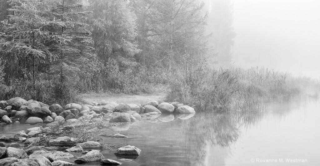 Foggy morning at Mississippi headwaters - ID: 15676633 © Roxanne M. Westman