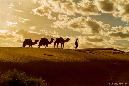 Sahara View