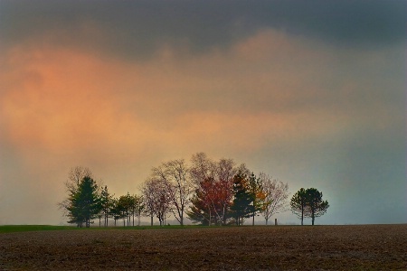 Earth and Sky