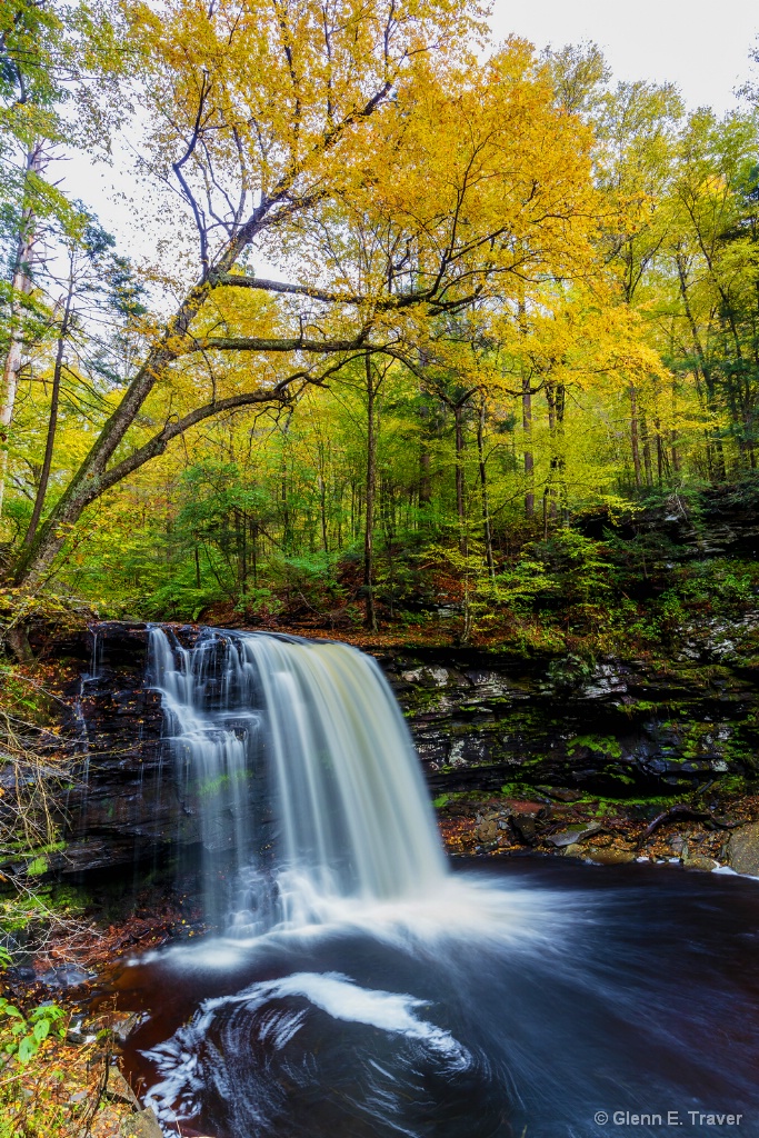 Autumn Colors