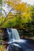Autumn Colors